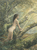 Wild Wood 